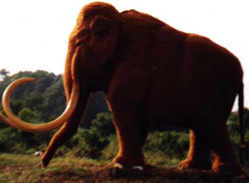 Big Red, the mammoth